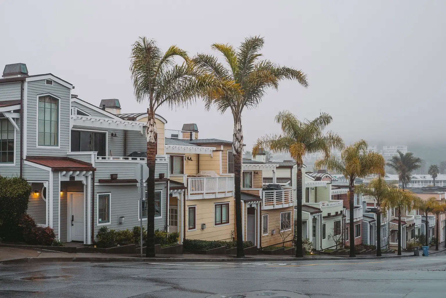 Pastel houses along a California street lined with palm trees